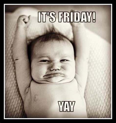 Finally.... FRIDAY! Tgif Meme, Funny Friday Memes, Friday Humor, Funny ...