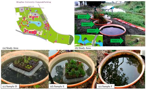 Using Green Water Farm to Improve Ecological Restoration