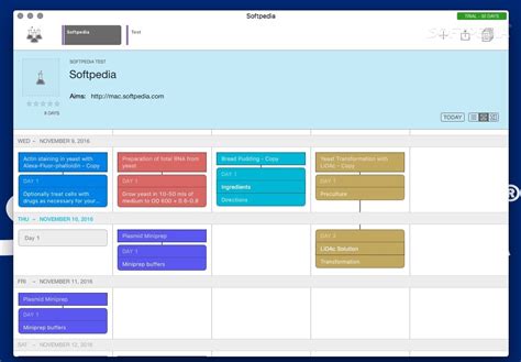 Image result for Findings Script