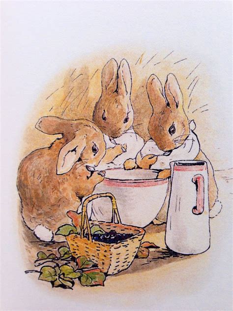 illustrations by beatrix potter