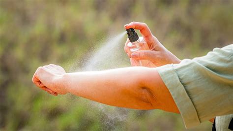 12 mosquito myths busted - The Australian Women's Weekly