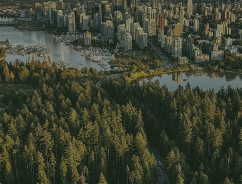 Investment Advisors Team Vancouver | Wealth Management