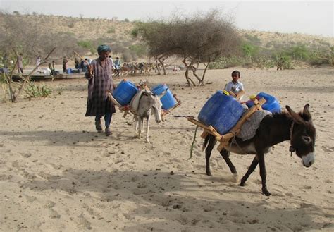 Children Starving to Death in Pakistan's Drought-Struck Tharparkar District