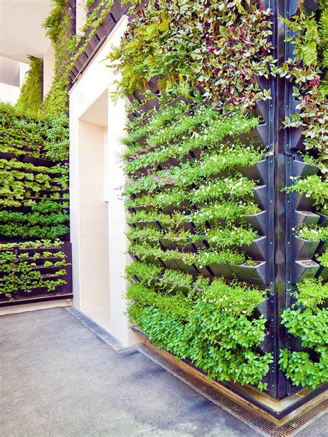Best Plants For Vertical Garden Wall at Margaret Cass blog