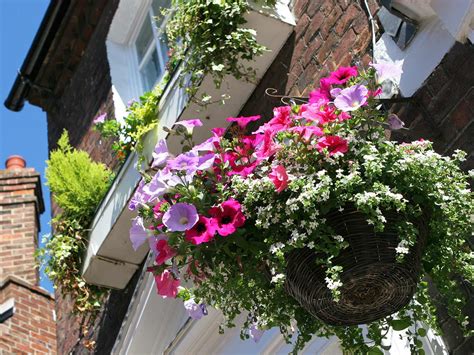 Ideal Speed Planters For Hanging Baskets Garden Wall Mounted