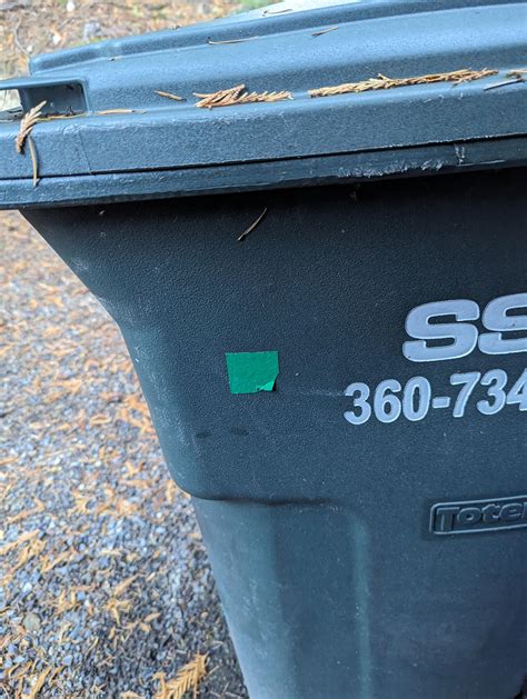 Sanitary Service Bellingham