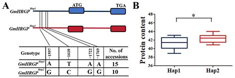 Integrating Genome-Wide Association Study, Transcriptome and Metabolome ...