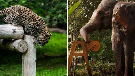 SC accepts SIT report, gives Vantara clean chit