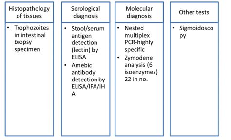 Entamoeba Histolytica - Medical Science Optional Notes for UPSC PDF ...