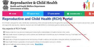 RCH Portal Data Entry 的图像结果