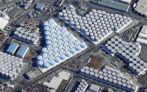 日本福岛核污水将排太平洋？绿色和平警告：污水或损害人类DNA_凤凰网