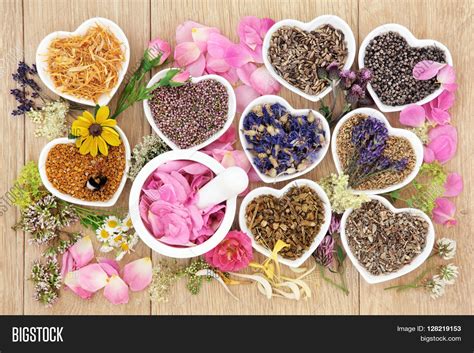 Herb Medicine 的图像结果