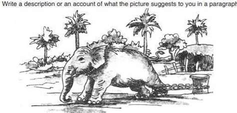 Write in your own words about the below picture - Brainly.in