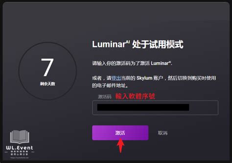 Luminar Ai Tutorials 的图像结果