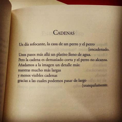 Poema de Wislawa Szymborska