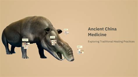 Ancient China Medicine 的图像结果