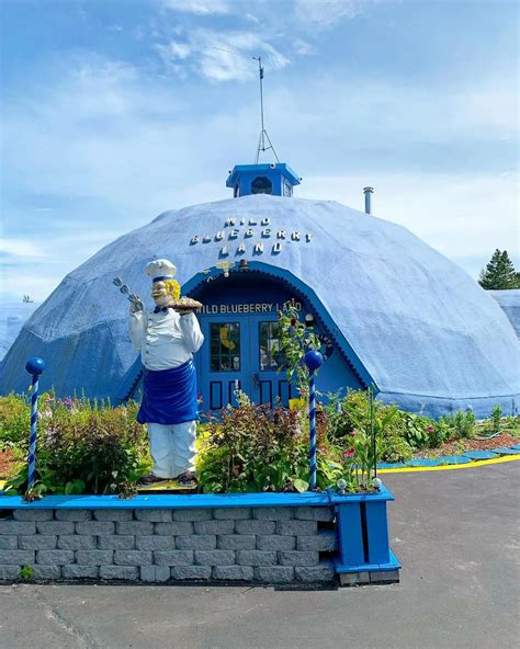 An Ode to Wild Maine Blueberries - New England