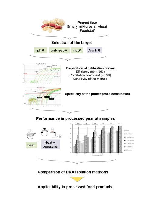 Detection of Peanut Allergen by Real Time PCR: Looking For the Suitable ...