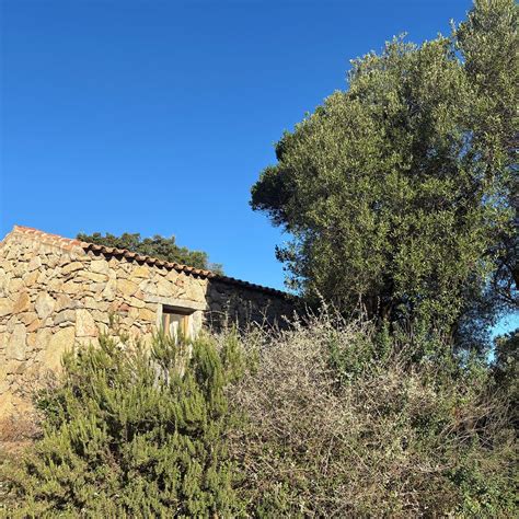 AGRITURISMO SPRIDDA (Arzachena, Sardinia) - Guesthouse Reviews & Photos ...