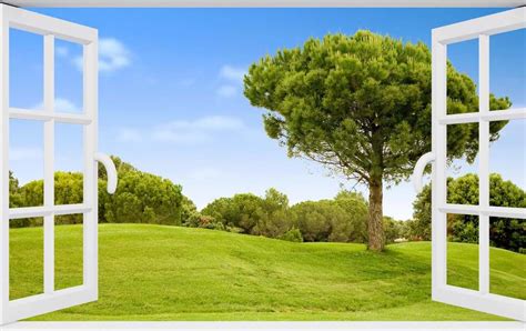 Image result for My Native Window