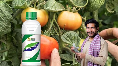 Folibion: Enhancing Crop Potential for the Indian Farmer – resetagri