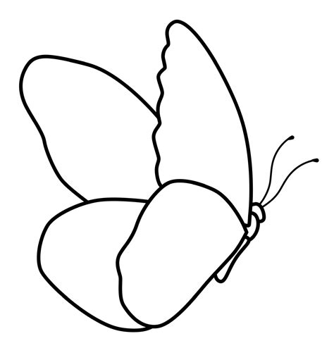 Butterfly Drawing Outline