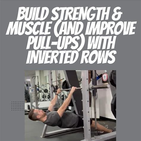 Image result for Inverted Row Exercise Muscles Worked