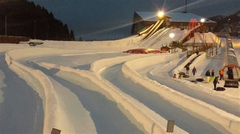 Tobogganing Park (Leysin) - 2020 What to Know Before You Go (with ...