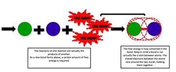 Chemical Potential Energy Examples 的图像结果