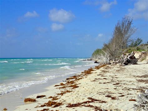 THE BEST Freeport Snorkelling Resorts 2026 (with Prices)