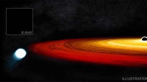 Image result for Call Center Agent Example