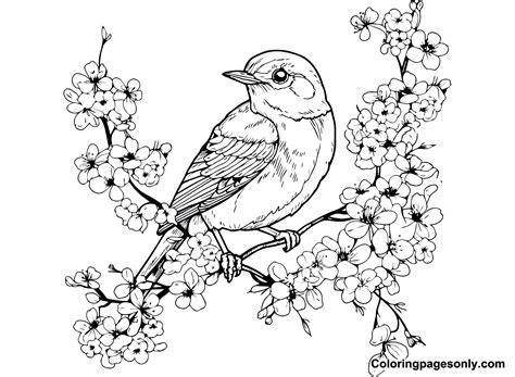 26 Cherry Blossom Coloring Pages - ColoringPagesOnly.com