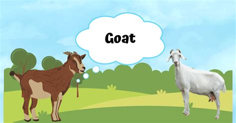 🚜🐄🌾Farm Animals for Kids | Fun Learning Ideas, Worksheets & Teaching ...