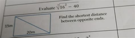 please answer my both questions - Brainly.in