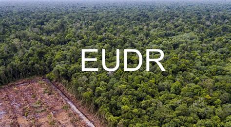 What is the European Union Deforestation Regulation (EUDR)?