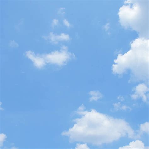 Volunteer Opportunities | Long Island Crisis Center