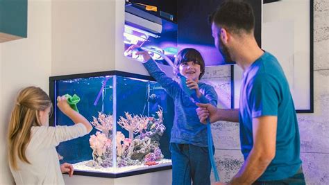 Bensons Fish Room Beginner Reef Seminar, Benson's Pet Center, Saratoga ...