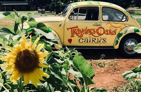 10 Hostels in Queensland That Are Perfect For A Budget Trip