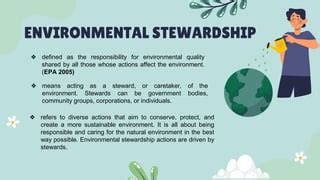 Stewardship 的图像结果