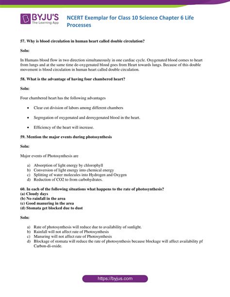 Class 10 Chapter 6 Explained 的图像结果