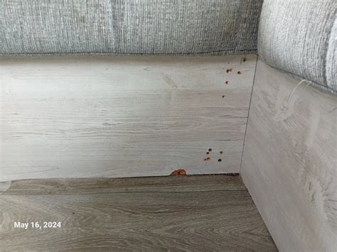 Disgusting caravan I have photos of it I will try to put them on ...