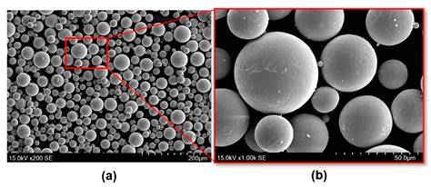 On the Morphological Deviation in Additive Manufacturing of Porous ...