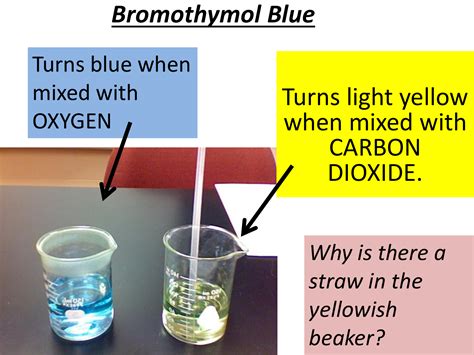 Image result for Bromothymol Blue Color Chart