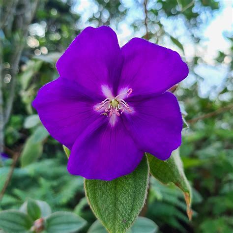 POUSADA COSTA VERDE (Ilha Grande, Brazil) - B&B Reviews, Photos, Rate ...