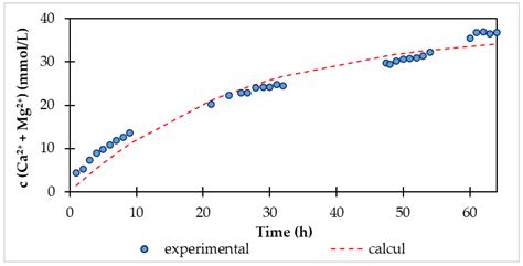 Modelling of Drinking Water Recarbonization in Fluidized Bed Reactor