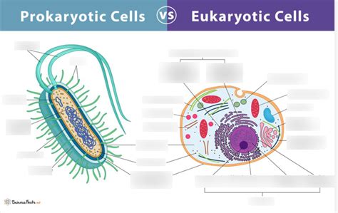 Learning Biology 的图像结果