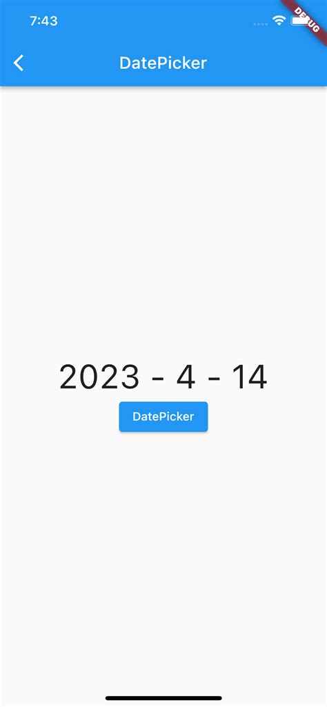 Date PICKER Flutter 的图像结果
