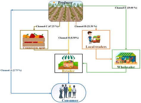 Agricultural Produce Supply Chain Network of Capsicum: Empirical ...