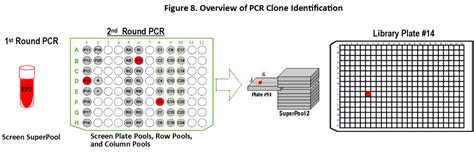 Library Screening 的图像结果
