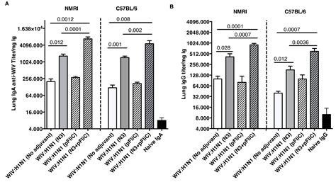 Long-Lasting Mucosal and Systemic Immunity against Influenza A Virus Is ...